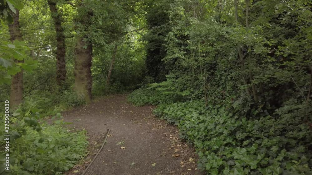 Emerging from behind leafy tree to view of woodland footpath & lush green vegetation, Mysterious, tranquil slow motion scenery. Emerging from behind leafy tree to view of woodland footpath & lush green vegetation, Mysterious, tranquil slow motion scenery.