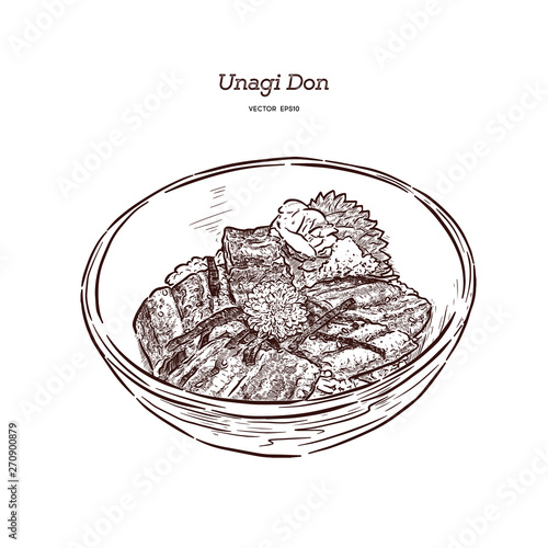 Unagi Donburi. Japanese cuisine, grilled eel with sweet sauce . Hand draw sketch vector.