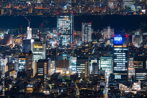 Tokyo city at twilight, Japan © geargodz