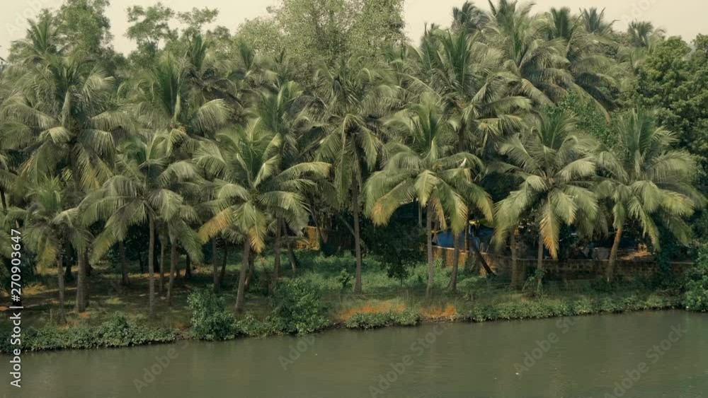 The river bank where there are poor huts and fishing boats in the water overgrown with palm forest, Goa, India The river bank where there are poor huts and fishing boats in the water overgrown with palm forest, Goa, India