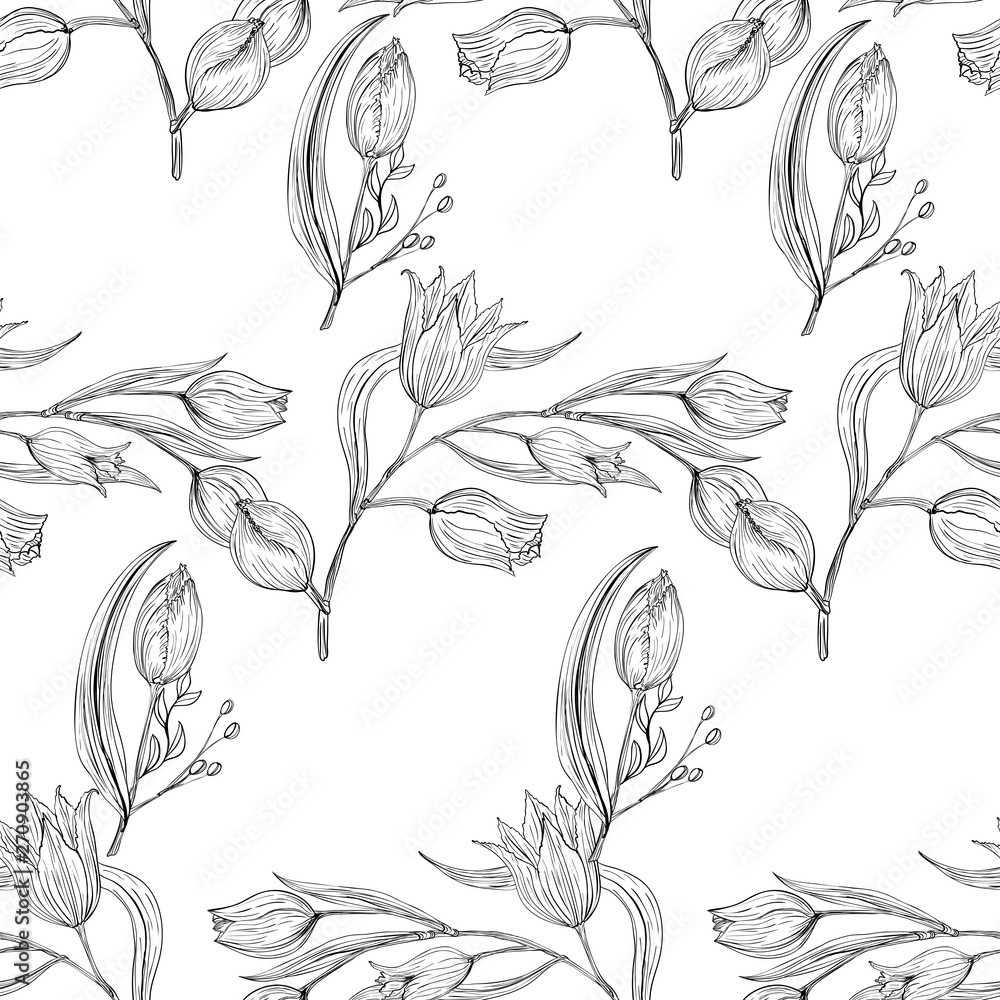 Seamless white and black pattern with tulip. Natural wildflowers white and black illustration.