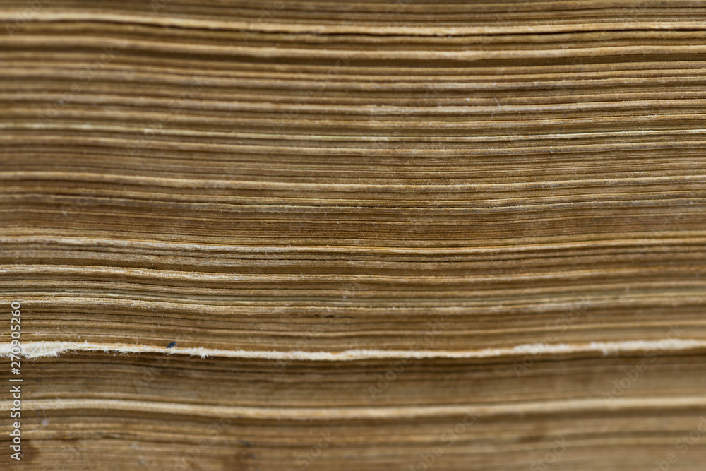 Fototapeta premium Horizontal old aged yellow book pages close up macro shot, image for background.