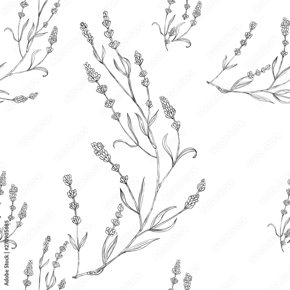 Lavander seamless pattern. Surface pattern design. Flower botanical art natural