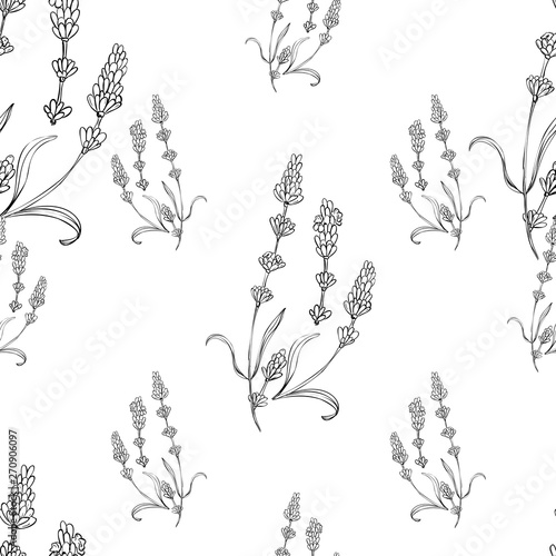 Lavander seamless pattern. Surface pattern design. Flower botanical art natural photo