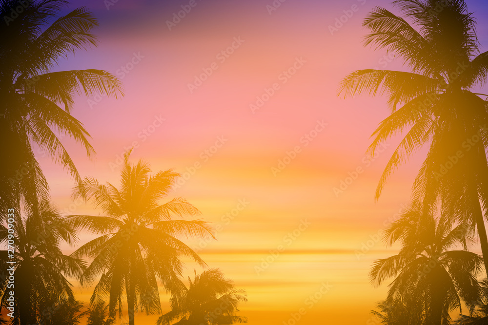 tropical palm tree and sunset summer nature background