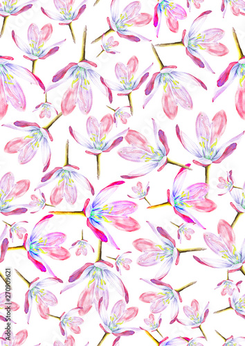  seamless pattern with flowers on white background