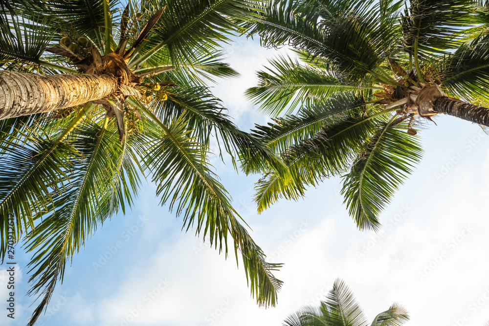 Anse Intendance, Mahe Island, Seychelles Anse Intendance, Mahe Island, Seychelles