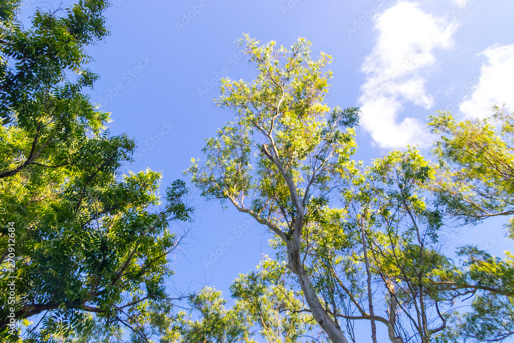 Beautiful view at Mae Sot National Park Forest, Thailand. Beautiful view at Mae Sot National Park Forest, Thailand.