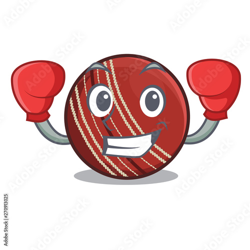 Boxing cricket ball in a mascot basket