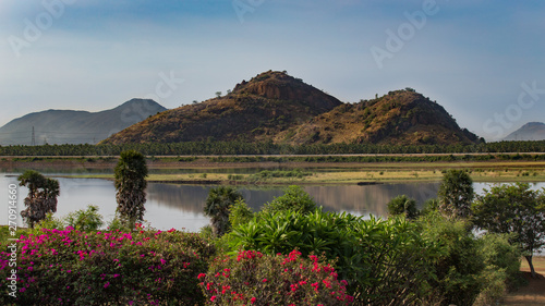 view of a beautiful lake with mountains in the background and blossoming plants in the foreground photo