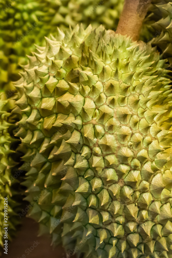 big prickly durian royal thailand fruit close-up. Strong smell baggage ban big prickly durian royal thailand fruit close-up. Strong smell baggage ban