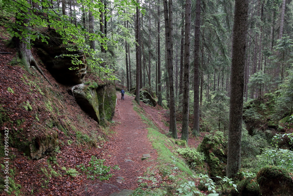 Elbsandsteingebirge - Sachsen - Deutschland Elbsandsteingebirge - Sachsen - Deutschland