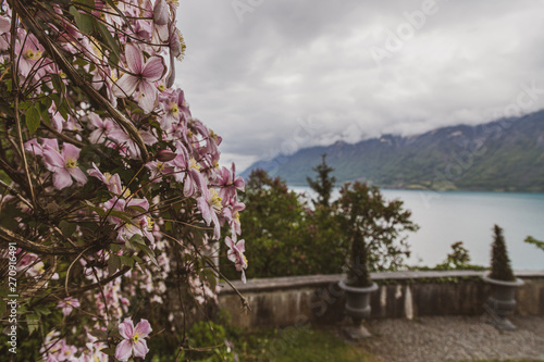 Garden of grand hotel Giessbach