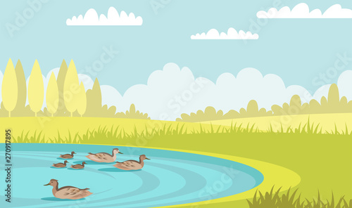 Wild ducks swim in pond flat vector illustration