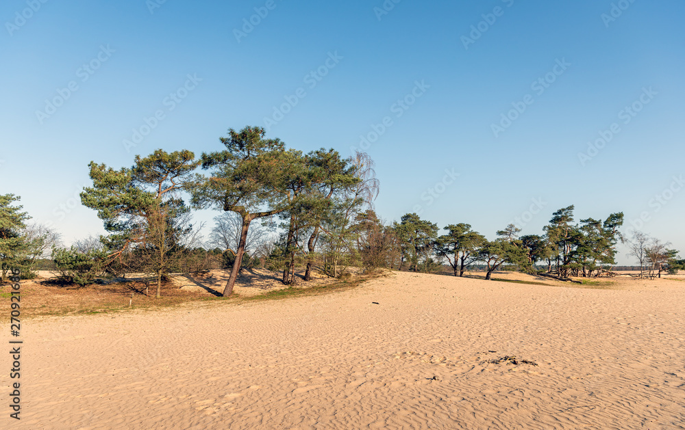 Fototapeta premium Loonse and Drunense Dunes
