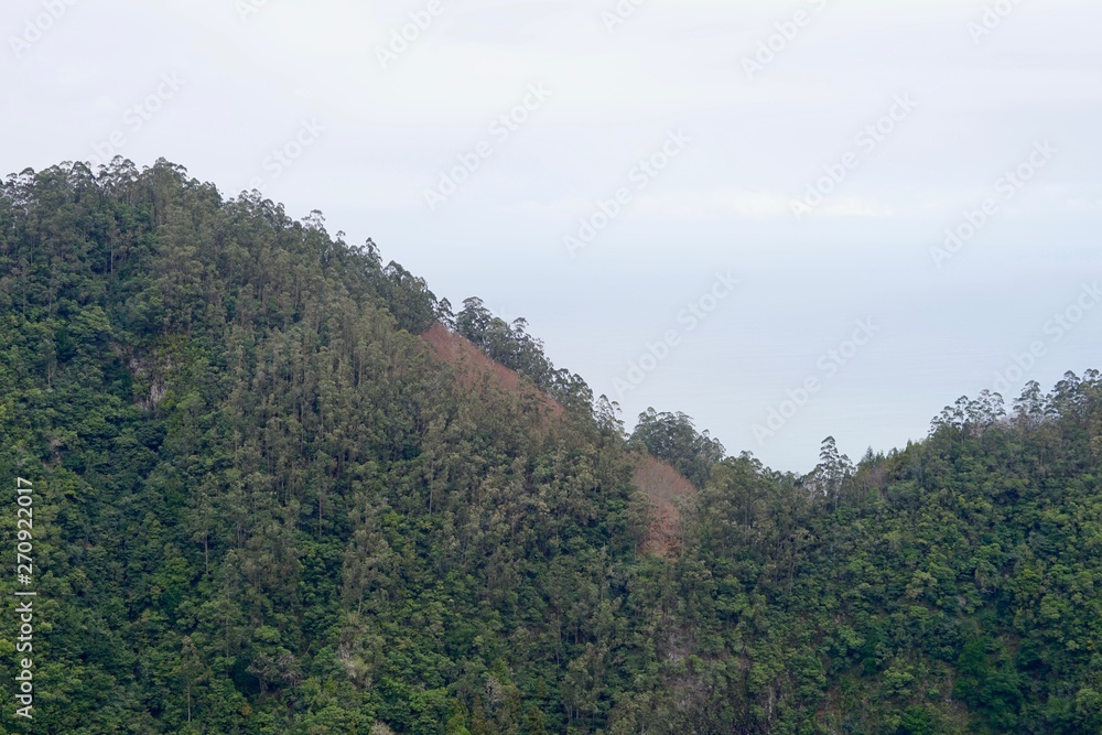 Berglandschaft auf Madeira