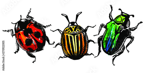 Colorful hand drawn bugs with watercolor effect shaded.