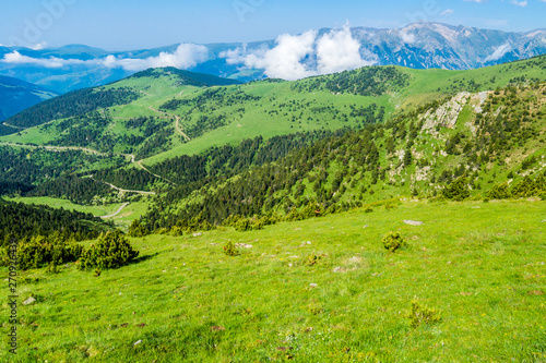 View of a beautiful green mountain valley (Catalanan Pyrenees, Setcases, Spain).