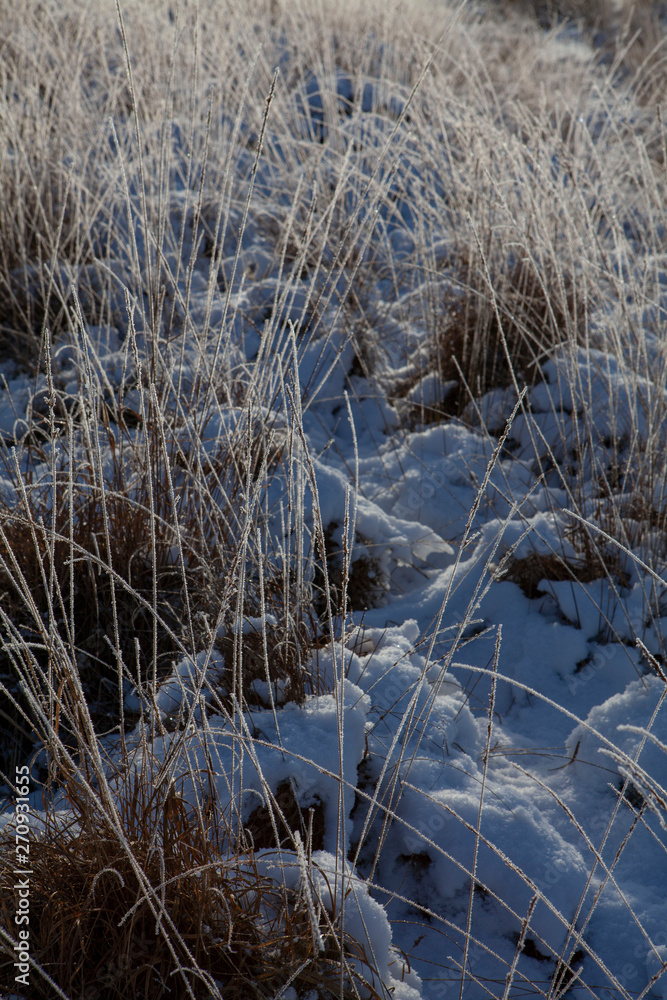 Winter Netherlands Havelte drente Netherlands Winter Netherlands Havelte drente Netherlands