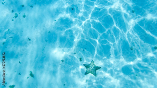 Starfish on White Sand in Turquoise Water photo