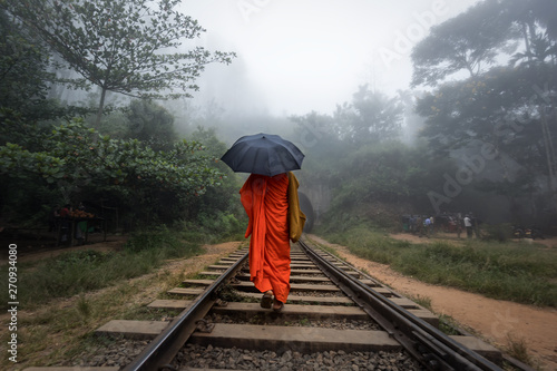 Canvas Print the lone monk walking