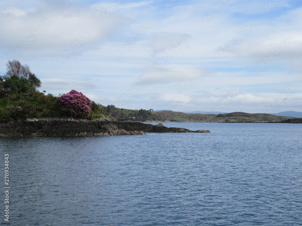 Fototapeta premium Bantry Bay in Ireland 
