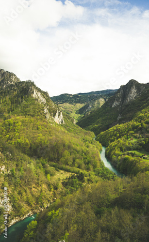 Green river valley canyon wide summer panorama Alpine mountain landscape. Mountain forest landscape. Tara River  Durmitor National Park  Montenegro