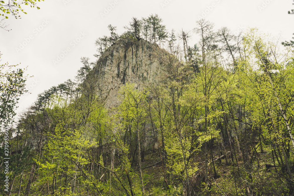 Obraz premium Rock mountain cliff and blue sky. Photo of Huge Rock Mountains Surrounded by Green Trees. Epic Mountain Landscape