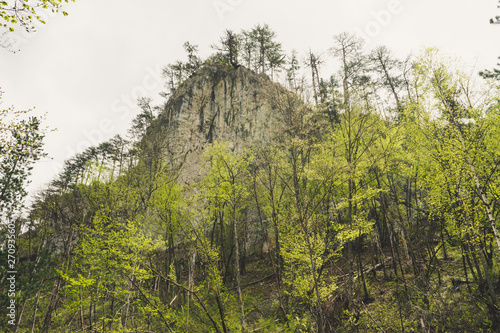 Rock mountain cliff and blue sky. Photo of Huge Rock Mountains Surrounded by Green Trees. Epic Mountain Landscape © Baifoworld