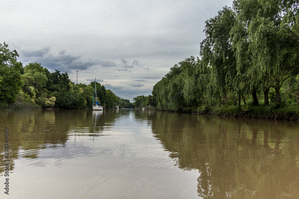 Fototapeta premium Lujan River view from a boat, Buenos Aires, Argentina