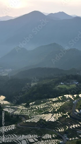 丸山千枚田　夕景