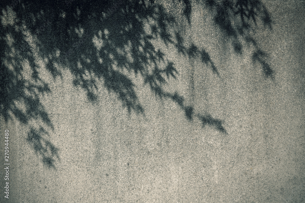 樹影のある古びた石壁の背景素材 Stock Photo Adobe Stock
