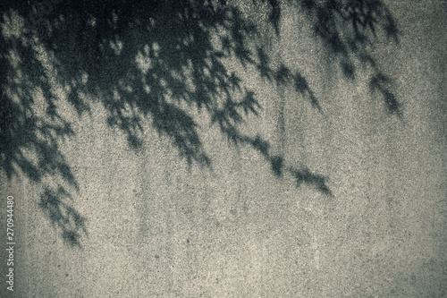 樹影のある古びた石壁の背景素材 Stock Photo Adobe Stock