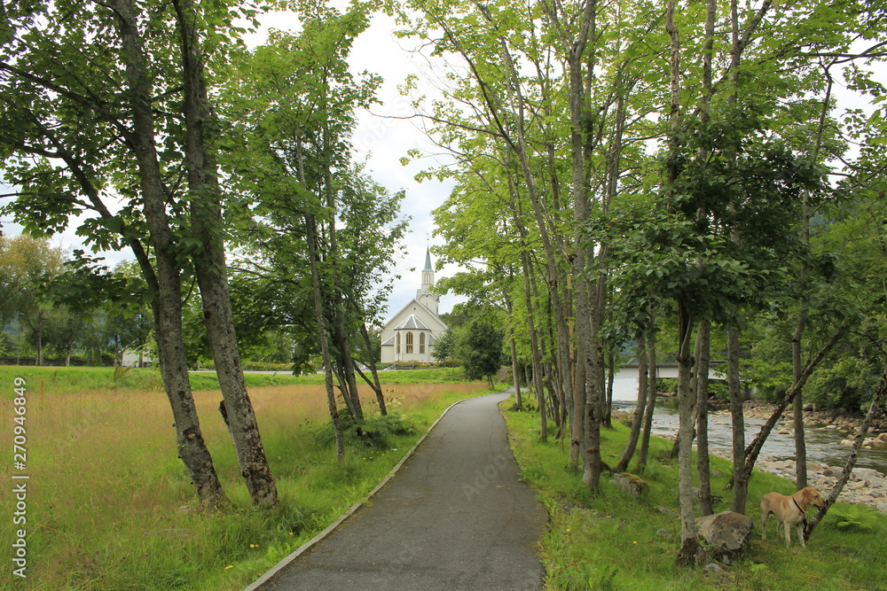 Obraz premium Road trip