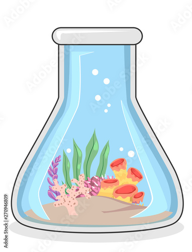 Biological Oceanography Corals Illustration