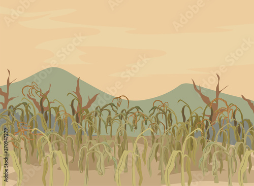 Corn Field Dying Crops Illustration