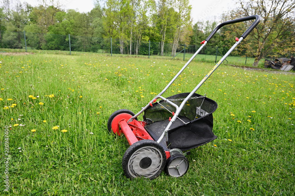 Fototapeta premium Red spindle lawn mower on lawn with cut grass part.