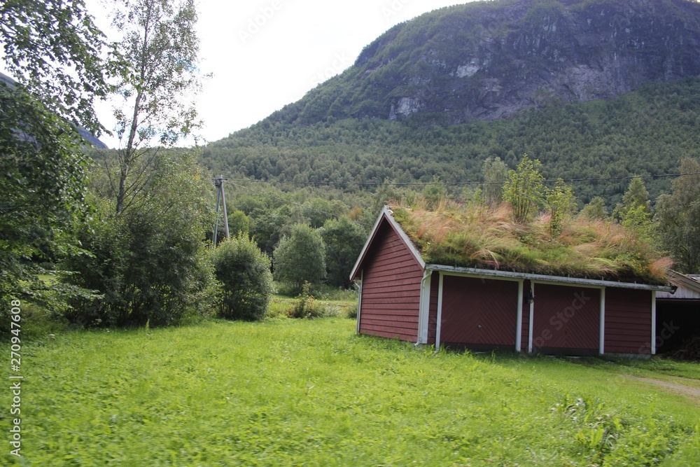 Obraz premium Road trip