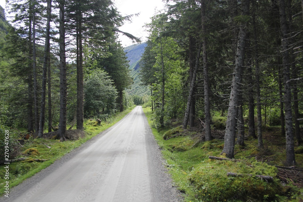 Fototapeta premium Road trip