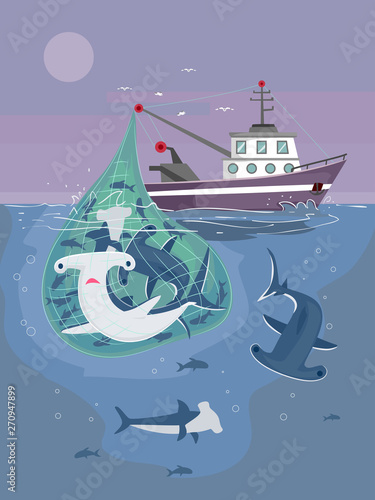 Fisherman Catch Sharks Illustration