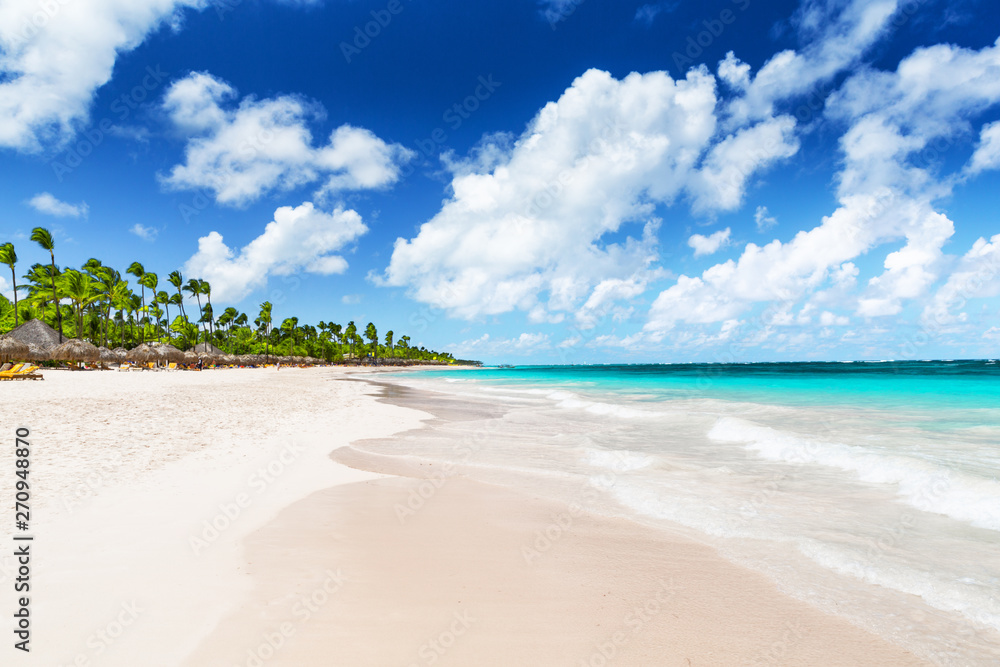 Coconut Palm trees on white sandy beach.