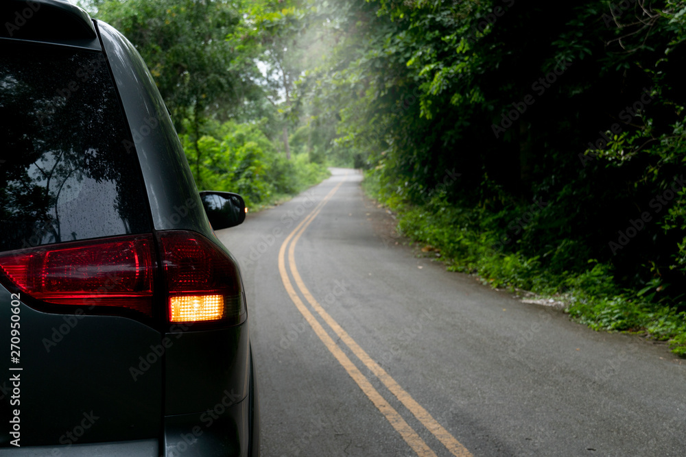 Traveling on the asphalt road that is curved and the forest on the side with open light break signal on the asphodel road. Traveling on the asphalt road that is curved and the forest on the side with open light break signal on the asphodel road.