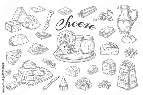Cheese sketch. Hand drawn milk products, gourmet food slices, cheddar Parmesan brie. Vector breakfast vintage illustration pencil hand drawn photo