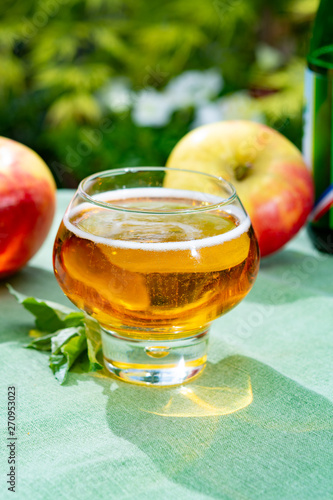 Fotografia Glass with fresh cold French apple cider drink served with apples in green garde