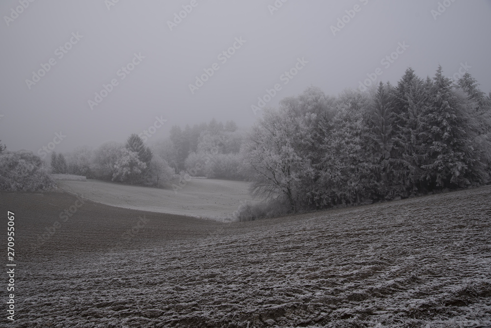 Winter Winter