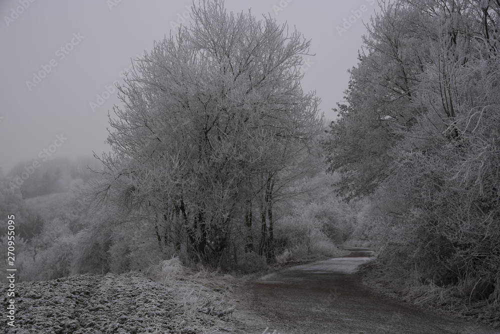 Obraz premium Winter