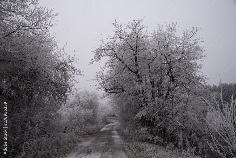 Obraz premium Winter
