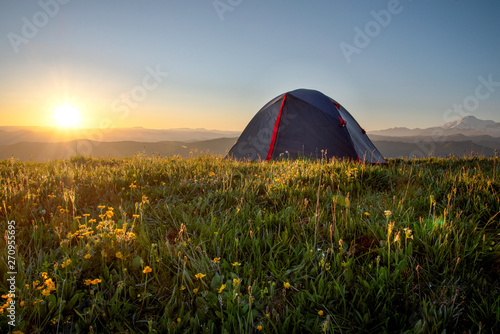 tourist tent stands on the green grass in the morning on a background of mountains