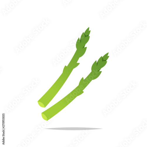 Asparagus vegetable vector isolated illustration