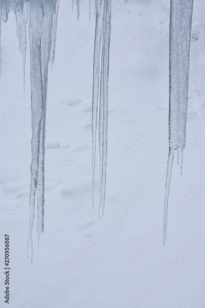 Fototapeta premium Icicles in a gloomy foggy winter day. Snow as background.